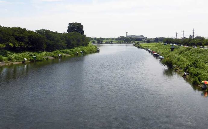 今週のヘラブナ推薦釣り場2024【埼玉県・ビン沼】