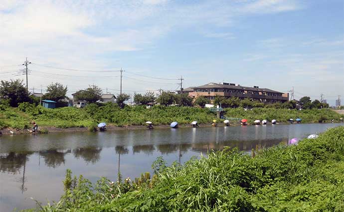 今週のヘラブナ推薦釣り場2024【埼玉県・ビン沼】