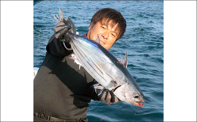 相模湾のまきエサ釣りでキハダマグロにカツオが顔出し【神奈川・洋征丸】