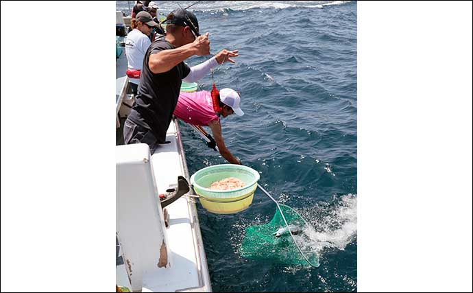 相模湾のまきエサ釣りでキハダマグロにカツオが顔出し【神奈川・洋征丸】