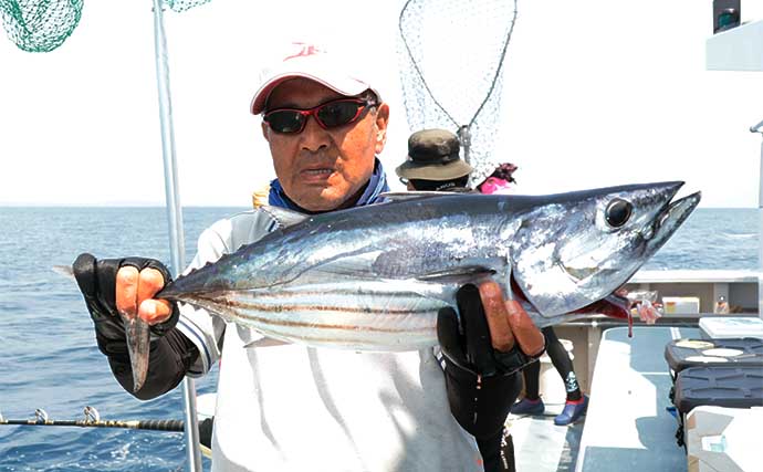 相模湾のまきエサ釣りでキハダマグロにカツオが顔出し【神奈川・洋征丸】