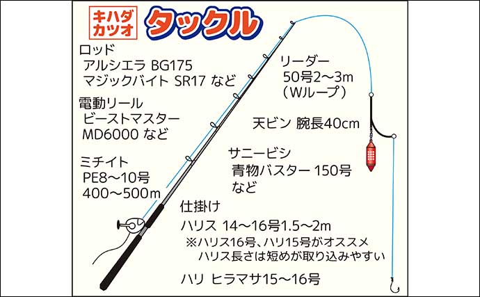 相模湾のまきエサ釣りでキハダマグロにカツオが顔出し【神奈川・洋征丸】