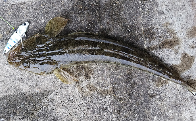 養老川ルアー釣行でマゴチ2匹をキャッチ【千葉】小型ながらも2024年は当たり年か