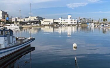 25度以上の高水温になると魚が釣りづらい理由　キーワードは「溶存酸素」