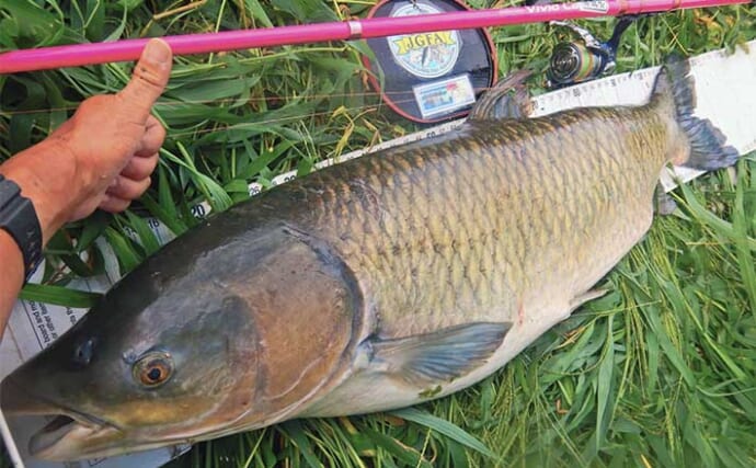 河川でのウキ釣りで122cm・21kg大型ソウギョ浮上【埼玉・元荒川】食パンエサに好反応