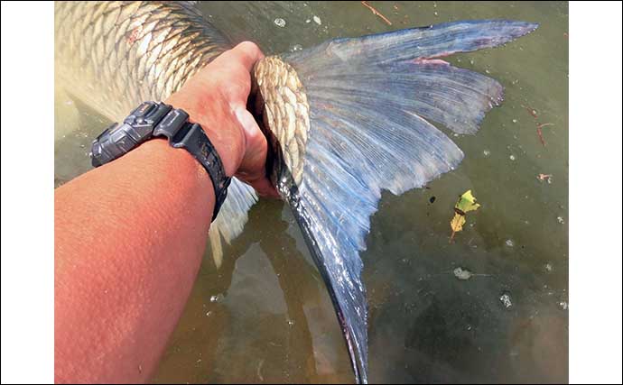 河川でのウキ釣りで122cm・21kg大型ソウギョ浮上【埼玉・元荒川】食パンエサに好反応