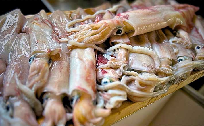 これでも渋い？】イカメタル釣行で大型交じりにアカイカが連発（金沢