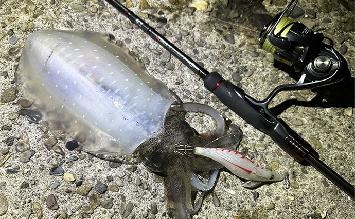 陸っぱりナイトエギング釣行で1.2kgアオリイカ手中【鹿児島】当たりカラーはピンク夜光