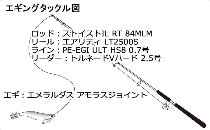 陸っぱりナイトエギング釣行で1.2kgアオリイカ手中【鹿児島】当たりカラーはピンク夜光