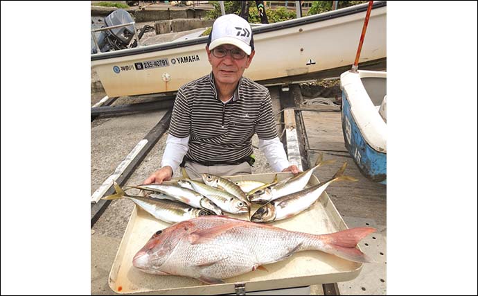 東京湾レンタル手こぎボート釣行で 67cmマダイに40cm超え大型アジ【神奈川・走水】