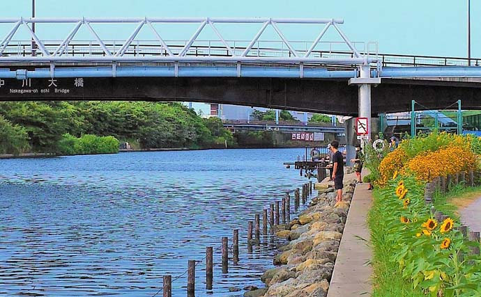 旧中川のハゼ釣りポイント紹介【東京】10cm級の良型多く引き楽しめる