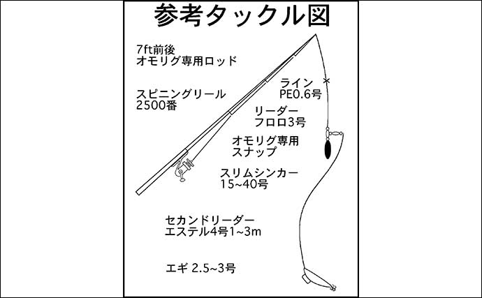 ケンサキイカ狙いの『オモリグ』釣法のススメ　イカメタルとの使い分け方とは？