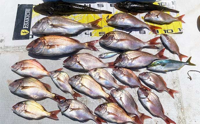 【沖釣り釣果速報】タイラバでマダイ25匹と爆釣！浅場でフィーバー（三重）