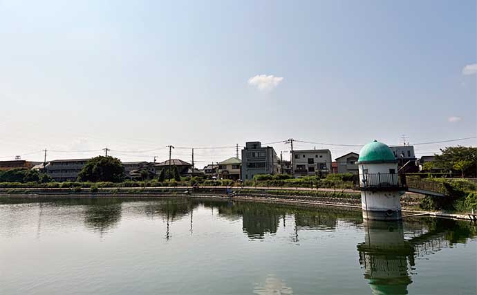 今週のヘラブナ推薦釣り場2024【静岡・門池】