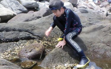 磯のタイドプール（潮だまり）で釣りをしたらハゼ釣れた！【神奈川・真鶴】