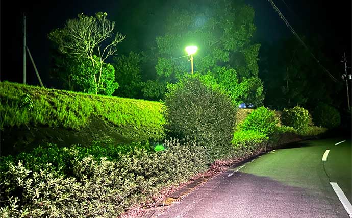 自然好きな釣り人が考えた自由研究テーマ：街灯に集まる虫を海と山で比較してみよう