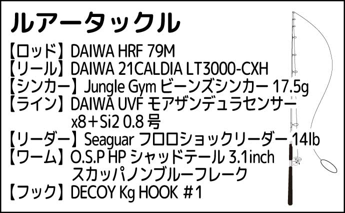 室蘭沖堤防でのロックフィッシュゲームで42cm頭に良型クロソイ連打【北海道】