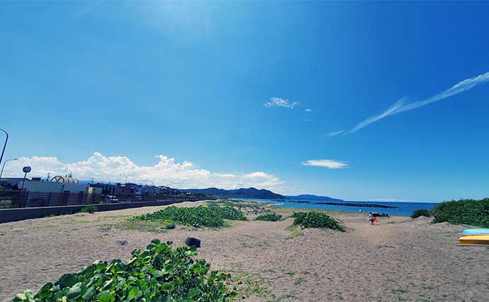 新潟県上越エリア夏のちょい投げキス釣り入門【仕掛け・オススメポイント3選を解説】