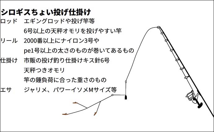 新潟県上越エリア夏のちょい投げキス釣り入門【仕掛け・オススメポイント3選を解説】