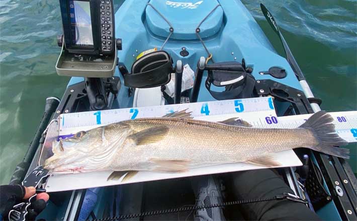 カヤック 海 川 池 1人乗り シーバス バス釣り 根魚 シーカヤック 野池 カヤック × シーバスフィッシング】／陸から探れない場所にルアーを