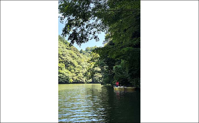 吉田康雄のザ・チャレンジへらぶな【ノルマは50cm超 in 亀山湖 #5】