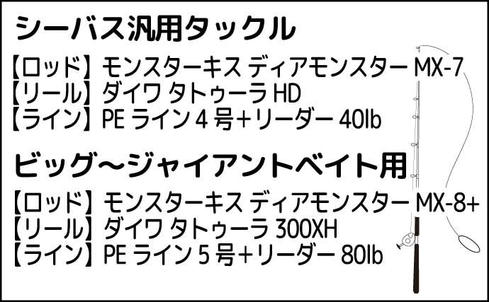 日本三大怪魚『アカメ』を釣る【高知】まさかのラバージグでのヒットのワケとは？