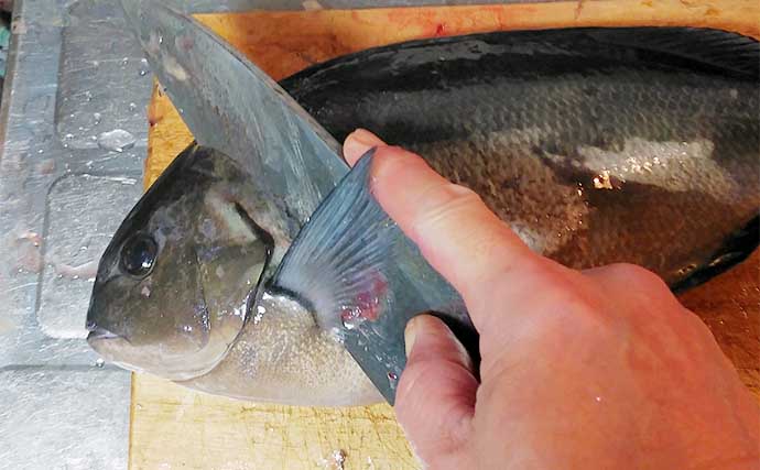 釣魚で作る「疲労回復」レシピ：オナガのゴマみそ　練りゴマがポイント