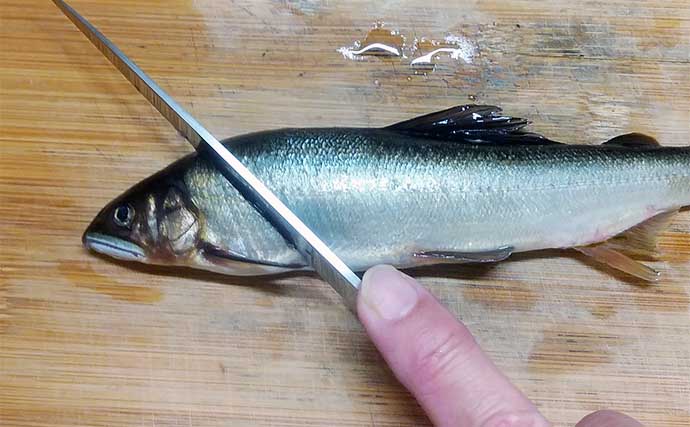 釣魚で作る「秋の味覚」レシピ：アユの酢ぬた　おとりアユでも美味