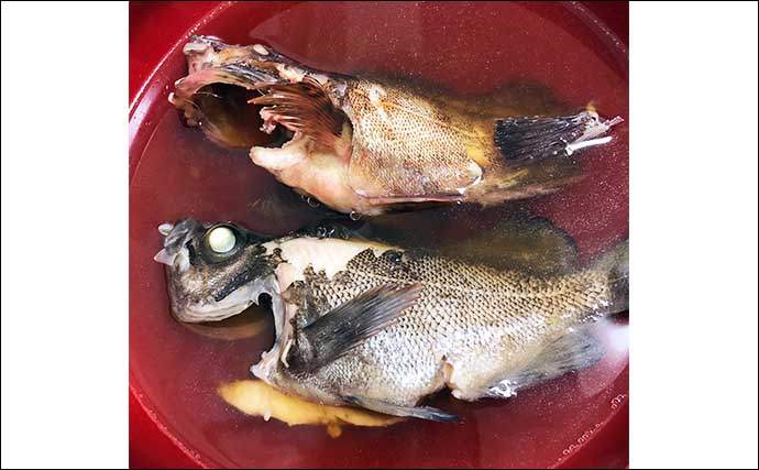 子ども向け図鑑から学ぶ「魚食」の重要性　サカナを食べれば健康寿命が伸びる？