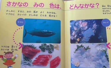 子ども向け図鑑を読んで【白身の魚と赤身の魚の違い】を学んでみた