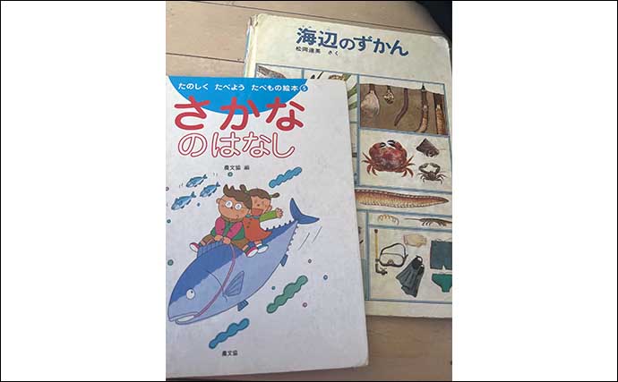 子ども向け図鑑を読んで【白身の魚と赤身の魚の違い】を学んでみた