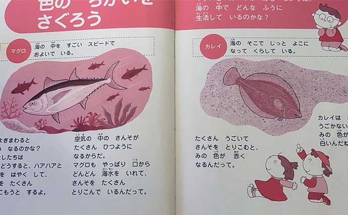 子ども向け図鑑を読んで【白身の魚と赤身の魚の違い】を学んでみた