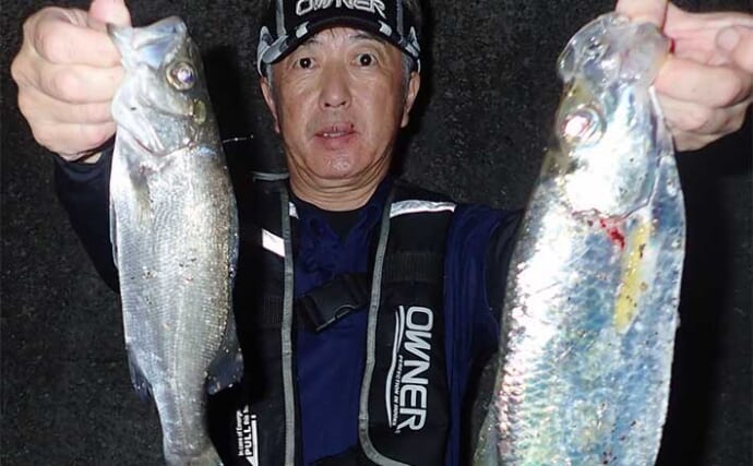 有明ターポン（ヒラ）釣りが最盛期迎える【熊本】堤防夜釣りで60cm級が連発