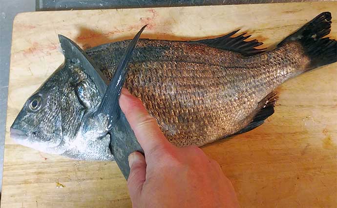 釣魚で作る「食欲の秋」レシピ：秋チヌのマリネ風　ご飯との相性も抜群