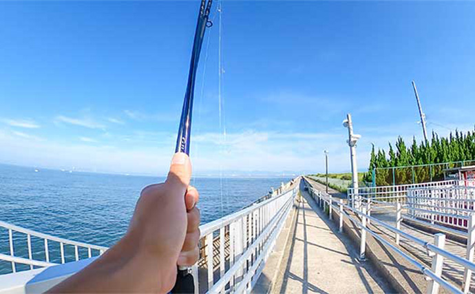 南知多エリアでのサビキ釣りでアジが連発【愛知】小型にはトリックサビキが奏功