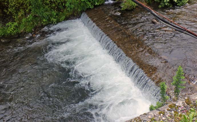 庄川水系で渓流釣り満喫【岐阜】増水の中で尺イワナを筆頭に13匹キャッチ