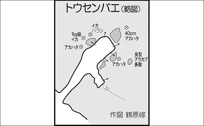 磯ロックフィッシュゲームで40cm級アカハタ手中【宮崎】エギングでは1kg級アオリがヒット