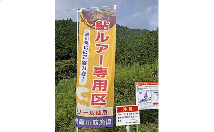 アユの新釣法「アユルアー」実釣スクールに参加【岐阜・根尾東谷川】釣果は渋めも魅力を体感