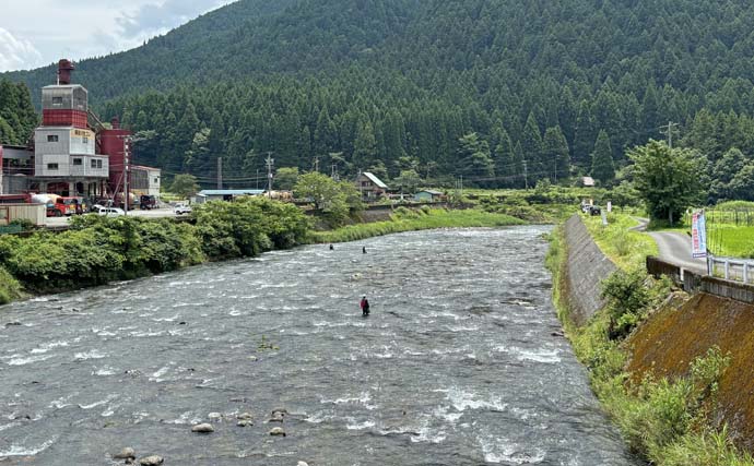 アユの新釣法「アユルアー」実釣スクールに参加【岐阜・根尾東谷川】釣果は渋めも魅力を体感