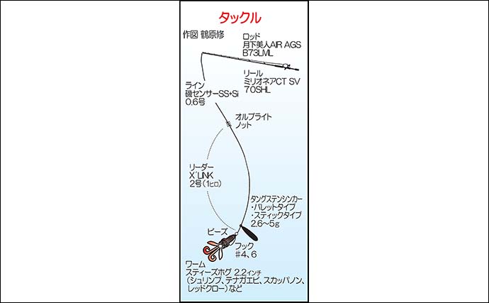 地磯でのルアー根魚釣りで30cm級キジハタをキャッチ【福岡】アラカブは連発