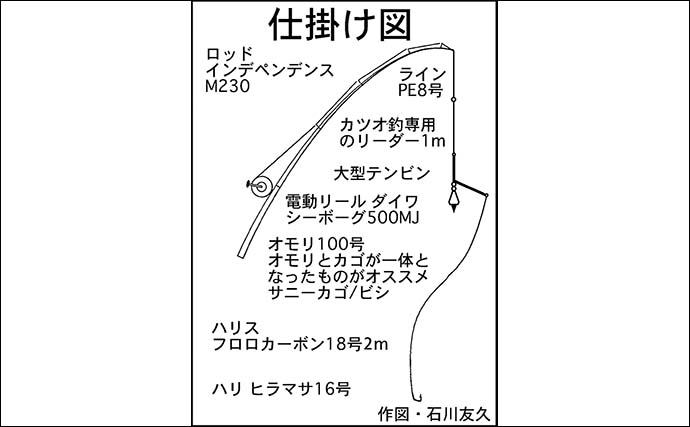 金洲でのコマセカツオ釣りで4kg級頭にホンガツオ7匹キャッチ【静岡】