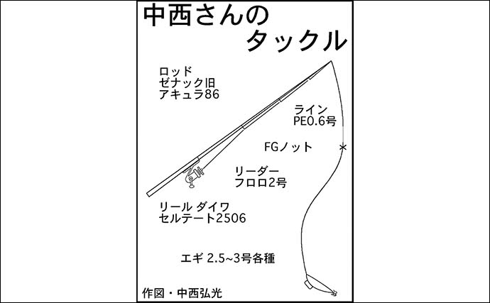 堤防エギングで新子アオリイカ3匹キャッチ【福井・大樟漁港】本格化はまだ先か