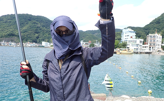 宿泊した旅館裏の釣り場でのんびりウキ釣り【静岡・松濤館】メジナやオヤビッチャがヒット