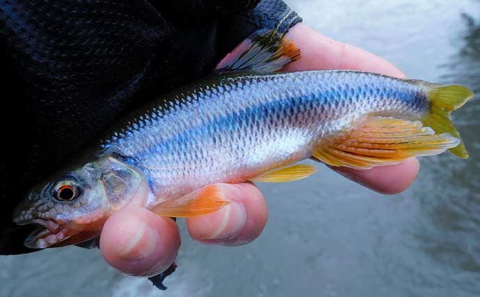 「釣りの楽しみ方は自由でOK！」普通の釣りに飽きたら実験やジオラマ作りはいかが？