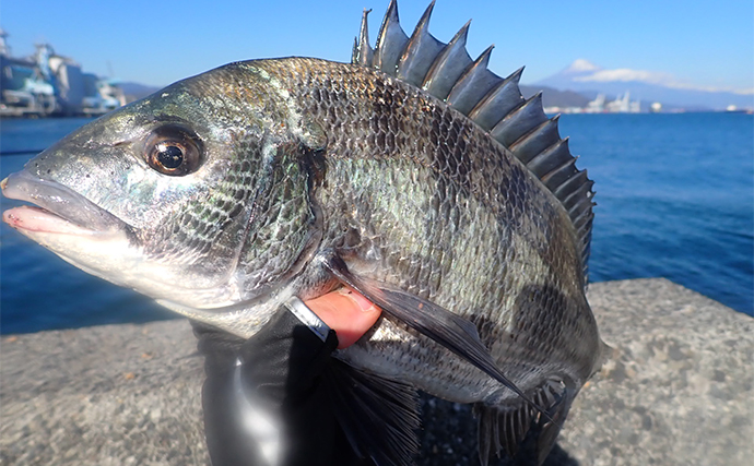 【駿河湾で釣りをしよう！】2024年お盆休み前半の東名高速・中央自動車道の渋滞予測を紹介