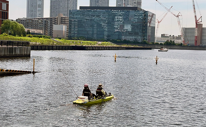 初の足漕ぎカヤックフィッシングでクロダイ登場！【東京・豊洲ぐるり公園】落とし込み釣りでヒット