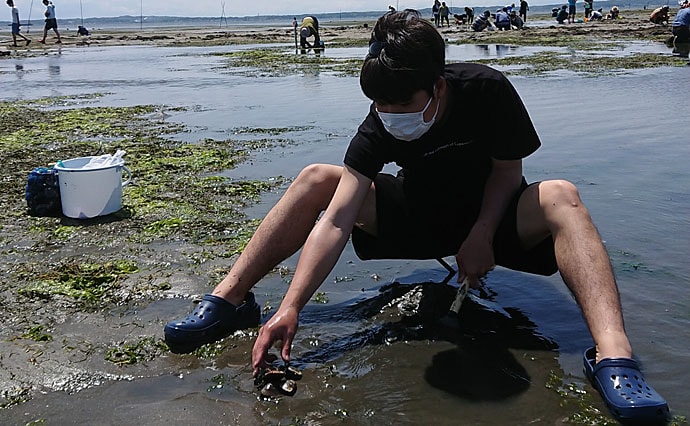 海洋学部出身の釣り好きがオススメする自由研究は【海辺の砂の中の生物を探してみよう！】