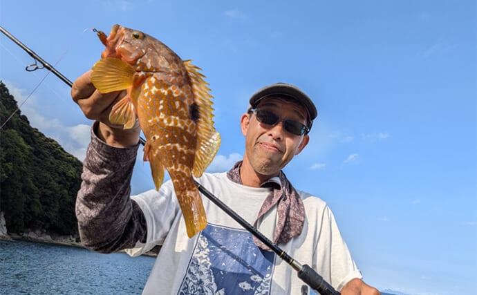 エギングロッド流用のライトロック釣行でアコウとアオハタ【京都府】サイズは小型中心