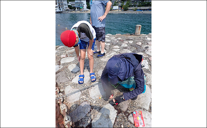 宿泊した旅館裏の釣り場でのんびりウキ釣り【静岡・松濤館】メジナやオヤビッチャがヒット