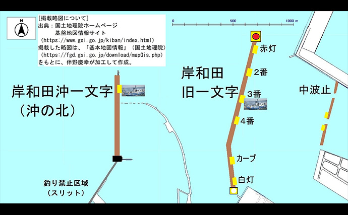 岸和田沖一文字の落とし込み釣りで45cmカンダイ【大阪】エサは岩カニにヒット